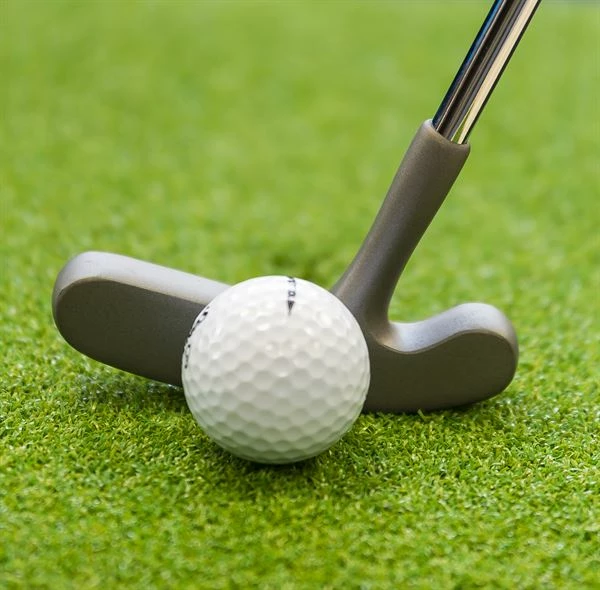 Longridge Two Way Putter Grey - 85,5 Cm - Image 2